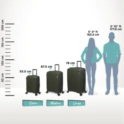 IT Luggage Spontaneous - Cabin (Olive Night) 29 IT Luggage Spontaneous - Cabin (Olive Night) -Travel Bag Store Spontaneous Set olive Relative Size 5ba18acf edda 4ad3 af90 2d1954a7fed9